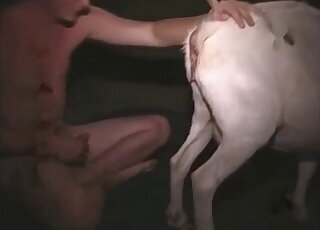 Pig bestiality xxx