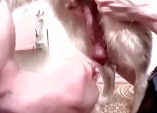 If you are a fun of hound dicks you will love this