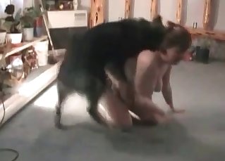 Gorgeous hound barks and eats her cunt