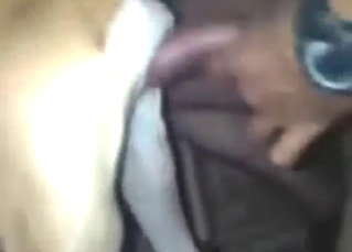 Helping that dog reach a proper orgasm today