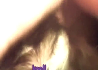 Zoo XXX mov shows a guy who fucks dogs harder