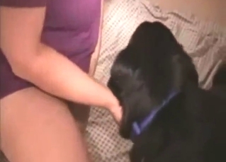 Late day fuck scene with a zoophilic blonde