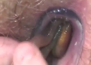 You will also end up jerking to these sexy worms