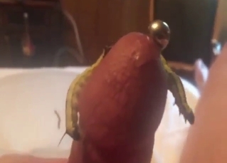 Special worms are going to attack his hard cock