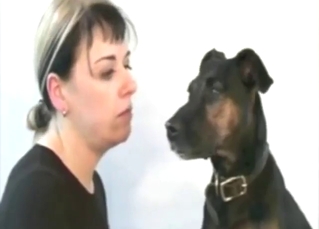 Romance is in the air with dog kissing and more