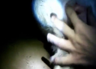 Dude fingers a goat to prep it for hard sex