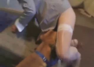 The bed is shaking as she gets fucked by dog