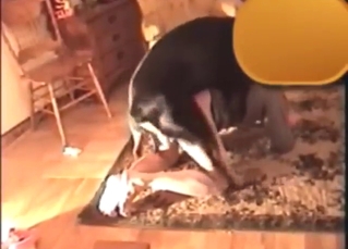 Rottweiler fuck with a guy who gets ass-fucked