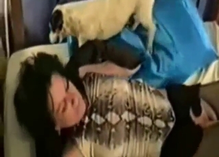 Bestiality sex looks great with these dog lovers