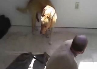 Gay zoo porn with a good-looking brown beast