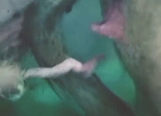 Boyfriend pig fucks girlfriend pig in a taboo vid