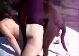 Bestiality sex with a round-assed hottie taking it