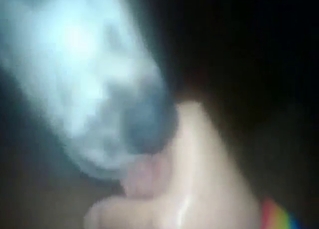 POV love with a sexy animal that licks him