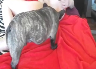 Zoo sex experience with a wet pussy teaser