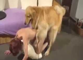 Red-haired girl goes on all fours for a hard fuck