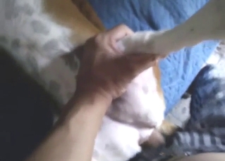 POV banging session with a submissive doggo