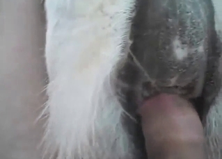 Fucking that gotta is the GOAT feeling for him