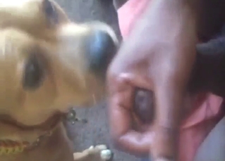 BBC pleasure session with a guy who fucks mouth