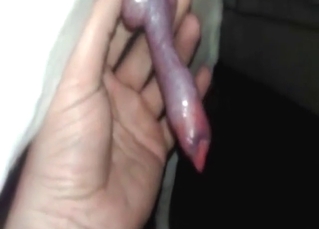 Cock is going to get jerked off in POV, it's wild