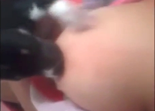 Puppy is going to worship that good-looking vag
