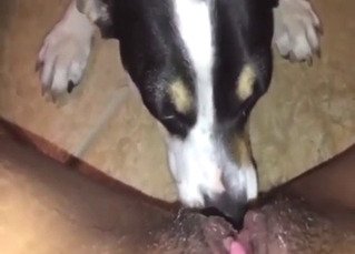 Seductive animal is going to bury its face there