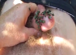 Green flies love how his dick tastes and smells