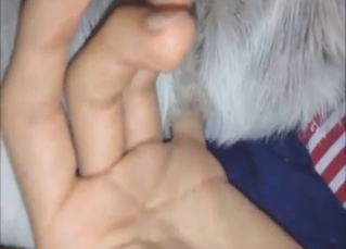 Dude fingering that slutty animal in a POV vid