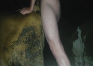 Bestiality porn with a guy fucking that hole deep