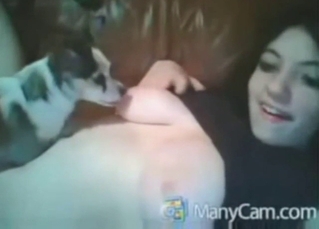 Zoophile lady is going to let dog lick her nips