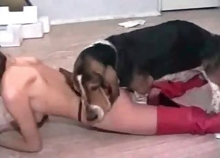 Thong-wearing slut and a kinky dog