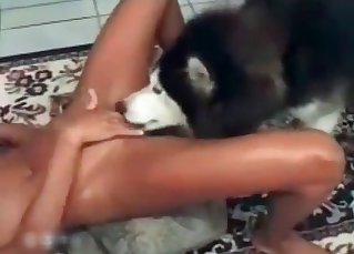 Dog gives a truly hot cunnilingus