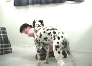 Dalmatian seducing a brunette zoophile