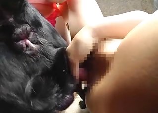 Nasty bombshell sucks a bowwow wiener