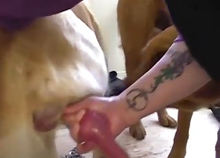 Nice to see how doggy is licking a boner