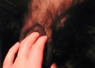 Good doggy anus looks so freaking fuckable