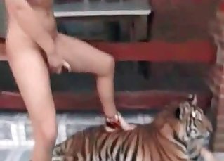 Blond-haired chick seducing a TIGER