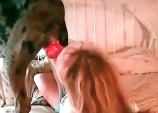 Dog happily fucking her owner