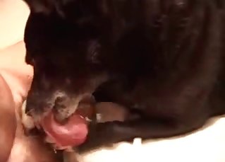 Doggy in the awesome bestiality XXX