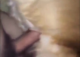 Brown dog gets fucked sideways to get him off